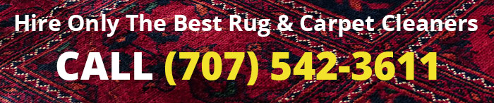 Providing Santa Rosa With Leading Services from the Top rated Carpet Cleaners