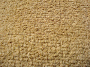 clean carpets in san rafael