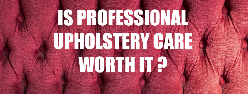 Is professional upholstery care worth it
