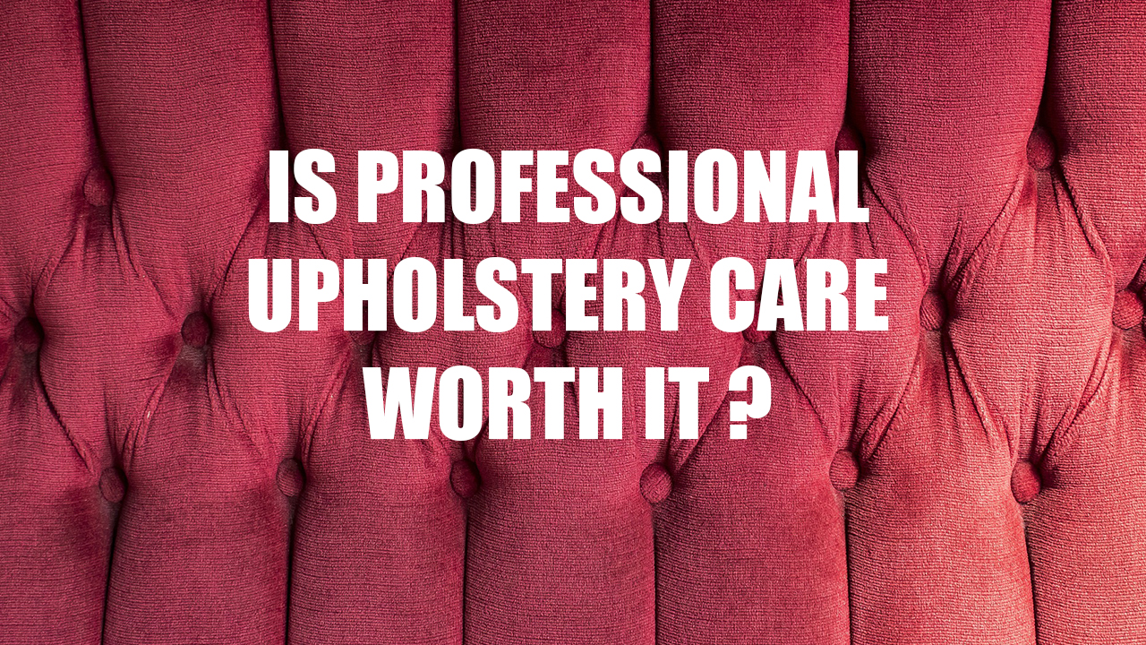 Is professional upholstery care worth it? Master Cleaners