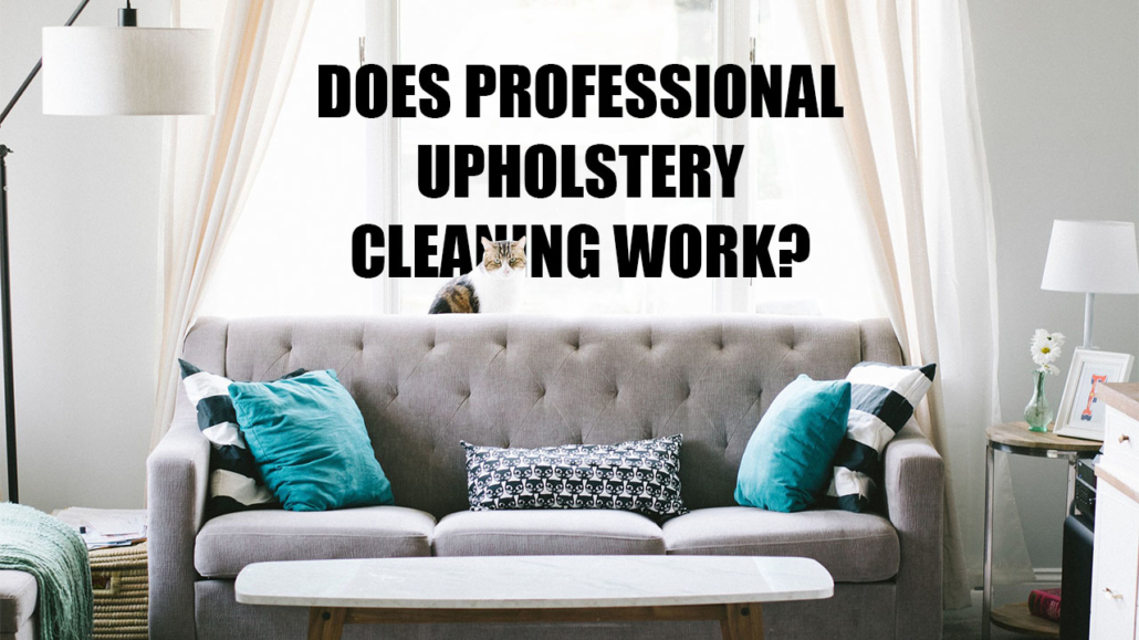 Does Professional Upholstery Cleaning Work