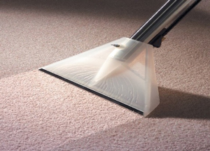 Are you in search for the greatest Rug Cleaners Company San Rafael? Contact us without delay and we will support you with an excellent Carpet Cleaning that can be found