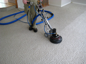 Evaluate the carpet cleaning review websites for ideal customer guidance