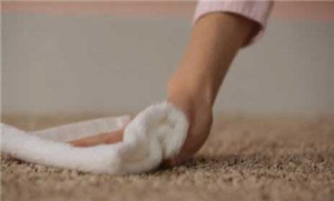 Are you browsing for the best Emergency Oriental Rug Cleaners Professionals San Rafael? Contact us at this time and we'll assist you with the greatest Carpet Cleaning available in the market